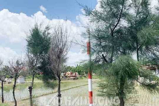 Mất cắp biển báo hiệu giao thông tại Kinh Môn